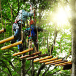 Go Ape! Embracing Adventure with your Kids