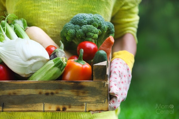 From Farm to Garden, Enjoying Fresh, Healthy, & Adventurous Summer Cooking