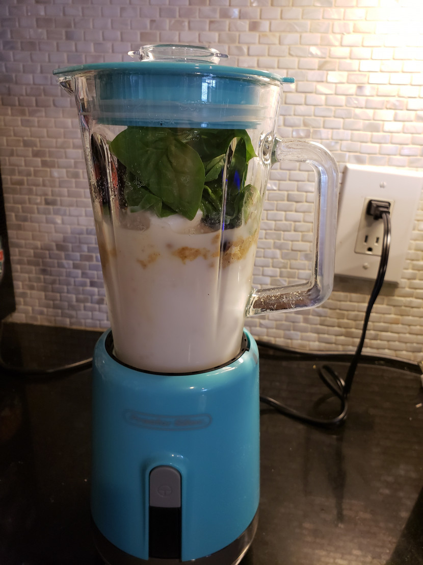 Proctor Silex Mini Blender: Perfect for On the Go Nutrition