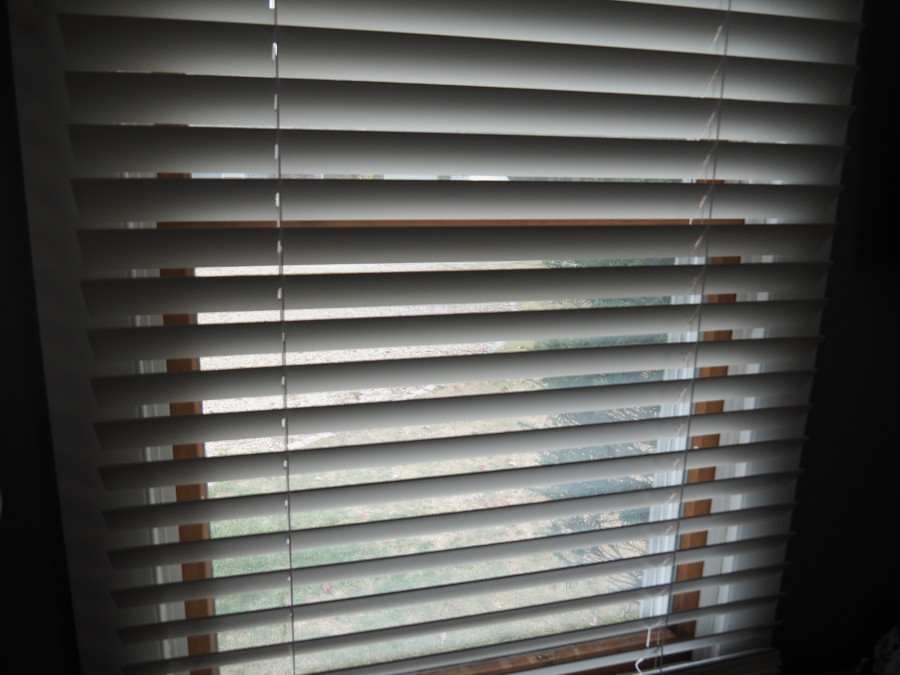 Serena Smart Wood Blinds – The Smartest Purchase for Window Covering Upgrades!