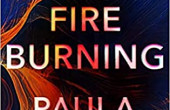 A SLOW FIRE BURNING by Paul Hawkins