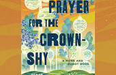 A PRAYER FOR THE CROWN SHY (audio) by Becky Chambers