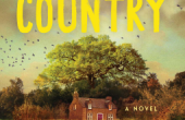 BROKEN COUNTRY by Clare Leslie Hall