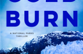 COLD BURN by A.J. Landau (Jon Land and Jeff Ayers)