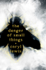 THE DANGER OF SMALL THINGS by Caryl Lewis